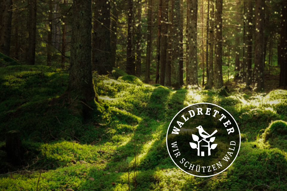 Eine Lebensversicherung für den Wald – Die Stuttgarter übernimmt Verantwortung
